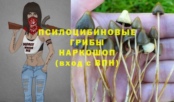 Альфа ПВП Абдулино