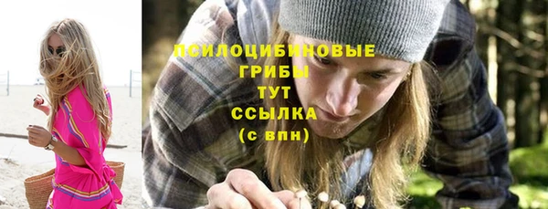 ПСИЛОЦИБИНОВЫЕ ГРИБЫ Алексеевка